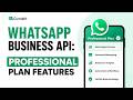 Cunnekt WhatsApp Business API: Professional Plan Features