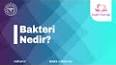 Biyografi Nedir? ile ilgili video