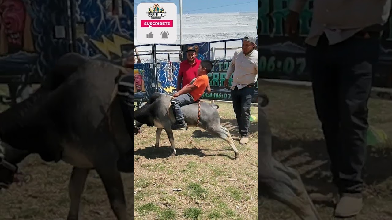 Pie grande la sensacion de RANCHO EL OLIMPO CONTRATACIONES:4341060787 #shorts #jaripeo 🔥