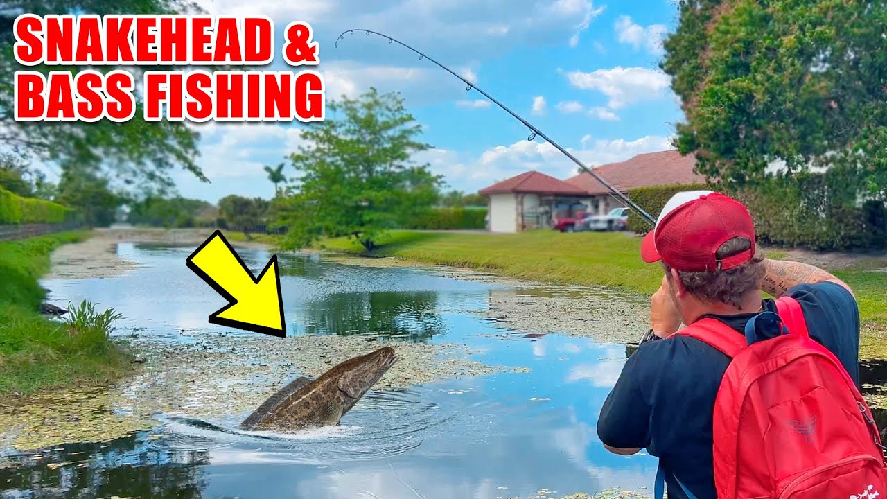 Snakehead & Bass Fishing in South Florida