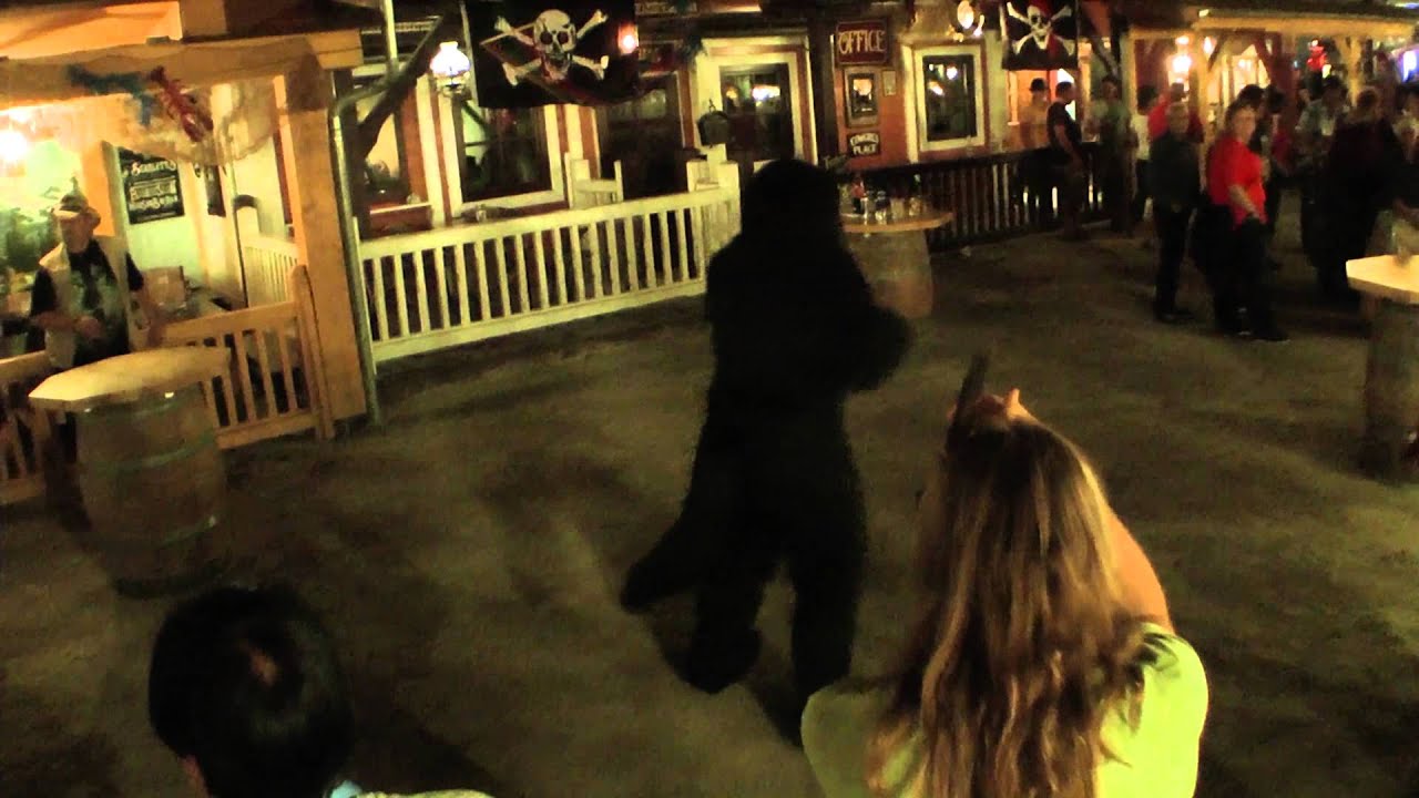 Berkwolf - Linedance Impro (07/2015)