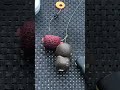 Carp rig with double 24mm boilies #carpfishing #carpiste #fishing #mack2 #fish #carpangler