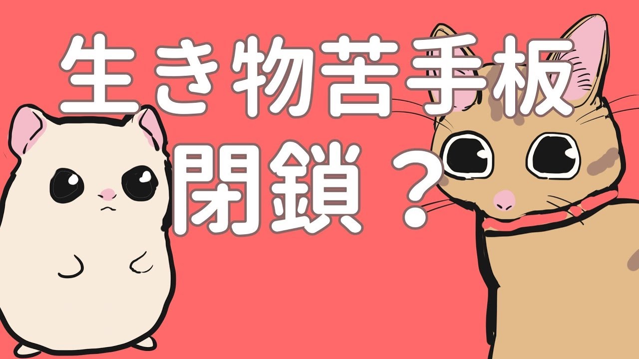 生き物苦手板の動画 画像 動画検索 マイルドサイト