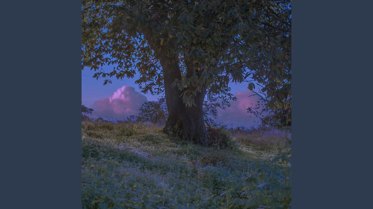 Watch twilight trees on YouTube Watch twilight trees on YouTube