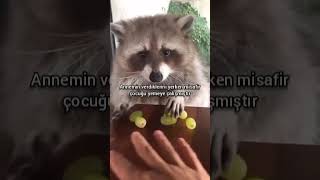 Misafir çocuğu sorunu..#edit #komik #komedi #eğlence #shorts #galatasaray #fenerbahçe #video #film