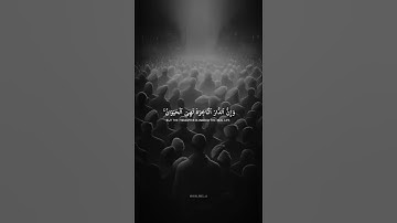 اكتب شيء تؤجر عليه 😴🤍 قران كريم | عبد الرحمن مسعد