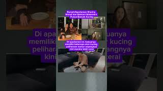 Rumah Sherina Munaf Dan Baskara Mahendra Punya Banyak Kucing rumah viral shorts