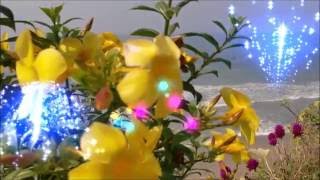 АХ ТУМАН, ТУМАН..... ДЛЯ ЛЮБИМЫХ И ЕДИНСТЕННЫХ АХ ТУМАН, ТУМАН..... ДЛЯ ЛЮБИМЫХ И ЕДИНСТЕННЫХ