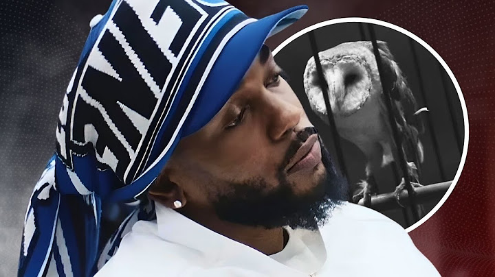 Hidden Meanings Behind Kendrick Lamar's "Not Like Us" Music Video Explained