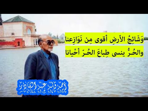 بلسان عربي حزين هذا ل قانا فهل تنضم أشلاؤنا الشاعر الموريتاني أحمد ولد عبد القادر