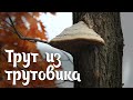 Трут из трутовика (Часть 3) - Как берет искру