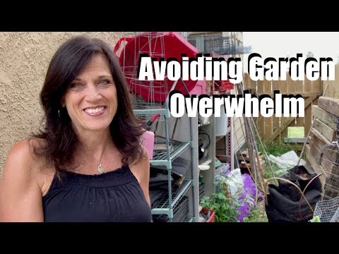 Garden Overwhelm does not Grow JOY!