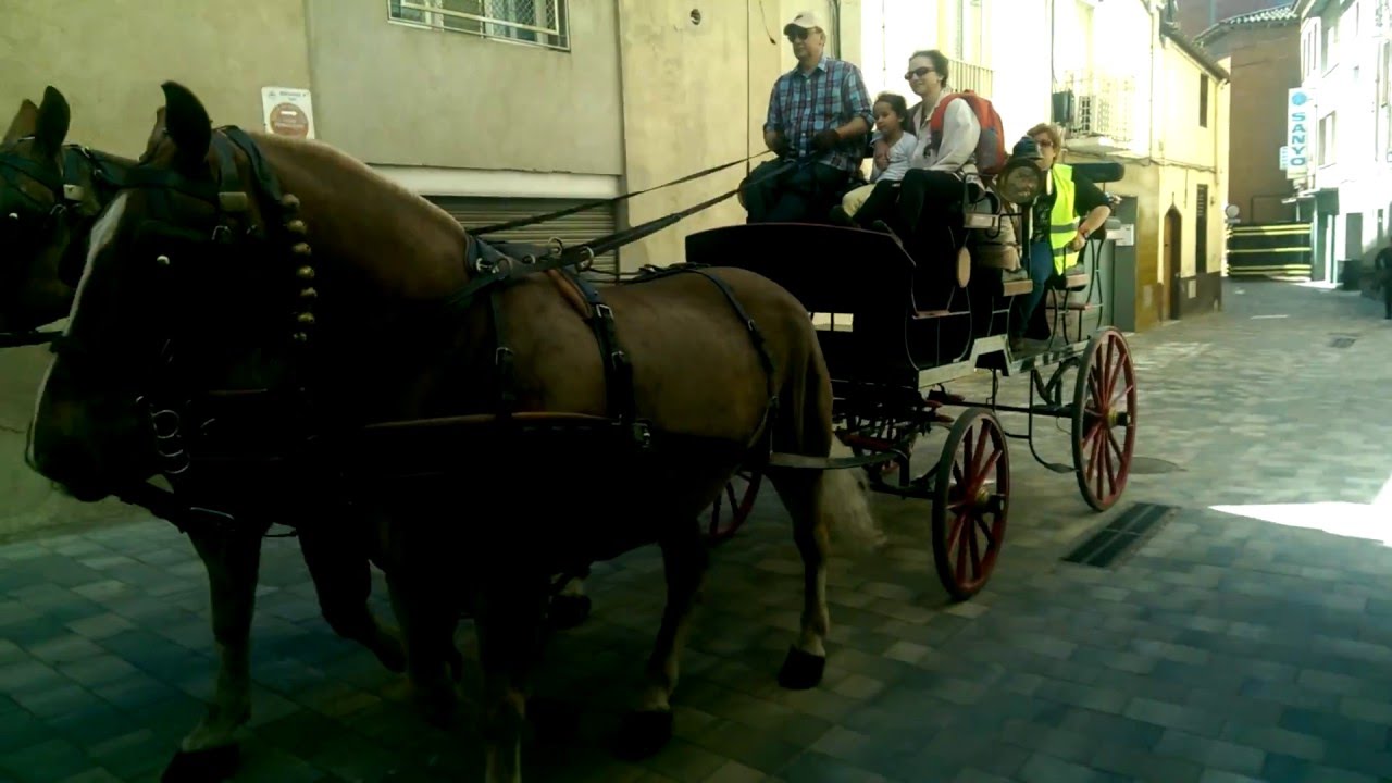 Dia de la Terra, Puja't al Carro de Sant Antoni