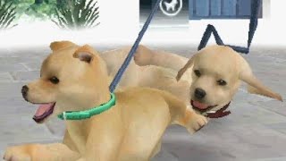 The Dumbest Nintendogs Walks Ever