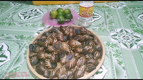 Cách Làm Sạch Nhớt Ốc Sên ( Ốc Ma ) /Phúc Thiên Y Đường