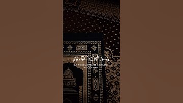 سورة الزمر#قرآن #اسلام_صبحي #اكسبلور