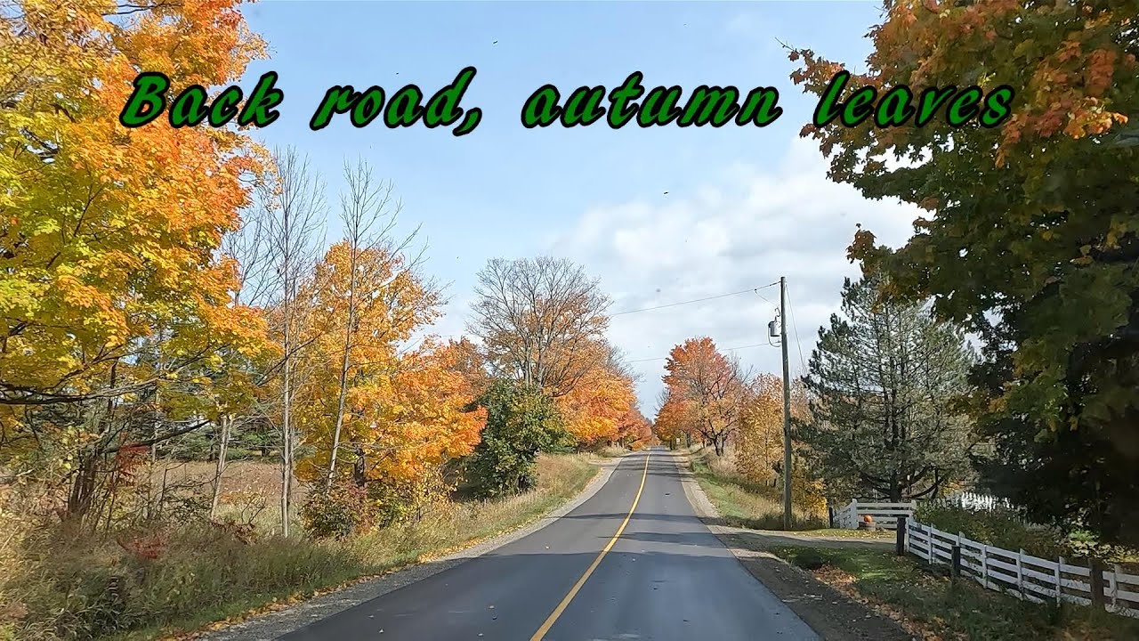 Back roads, autumn leaves