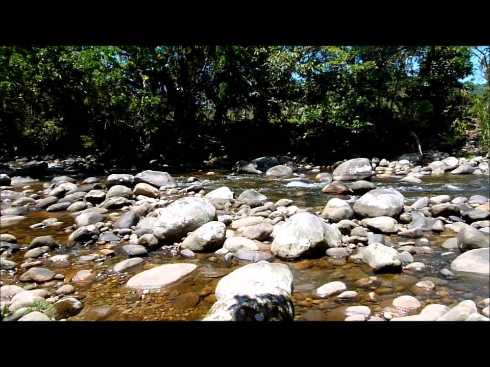 camera iphone 8 plus apk Guapi Assu River