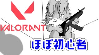 ほぼ初心者のヴァロラント