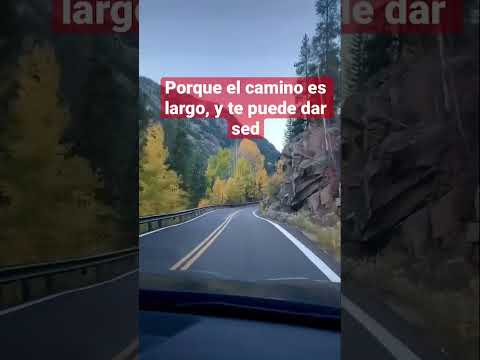 Nunca digas de