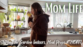 HOMESCHOOLING MOM OF 5 LIFE Homestead Garden Prep, Weekly Meal Prep, Grocery Haul & MORE