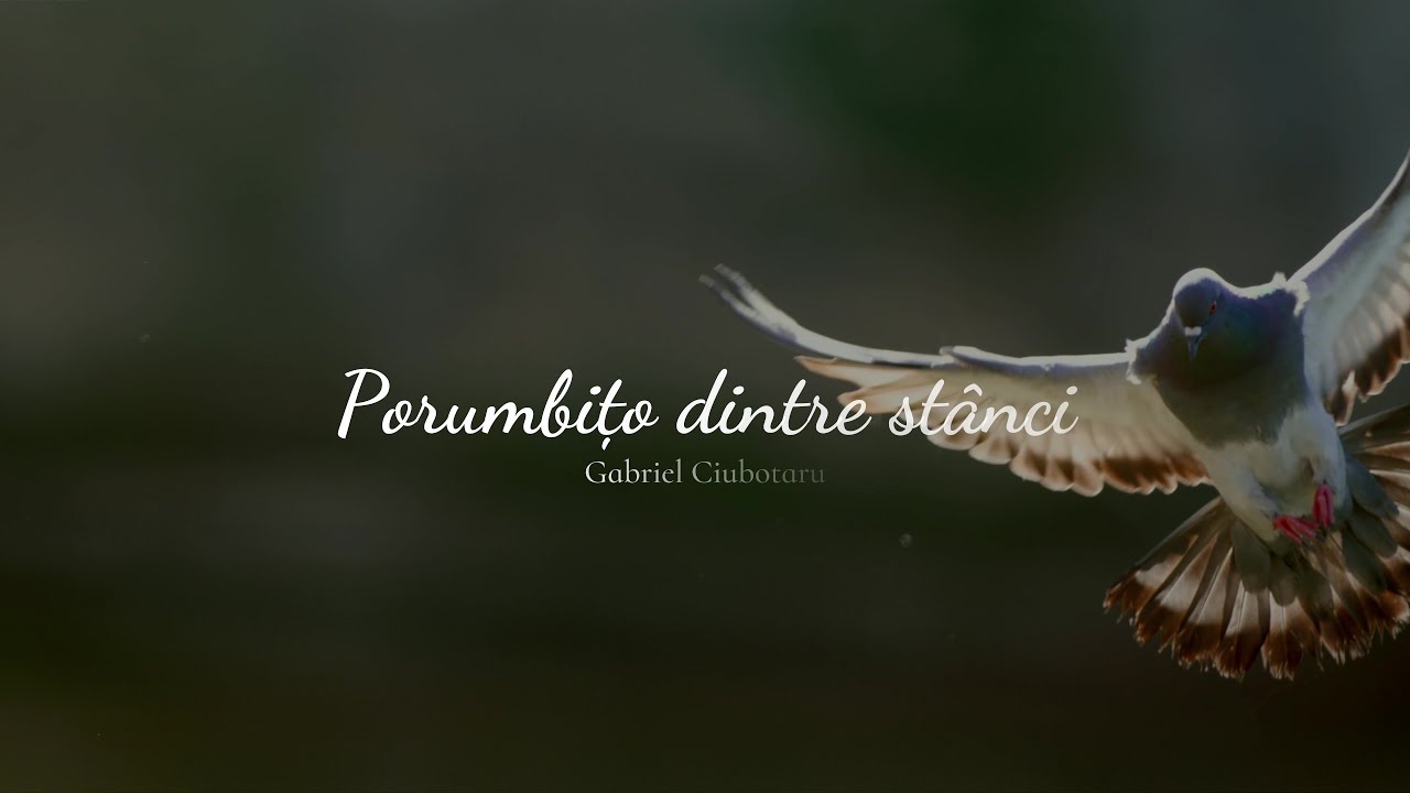 Porumbițo dintre stânci - Gabriel Ciubotaru