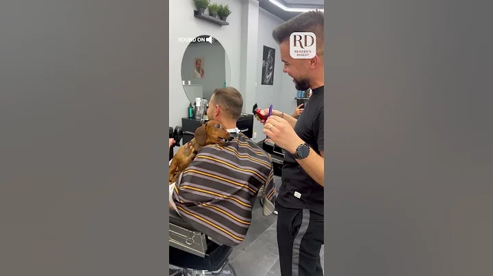 Watch this dog tell the barber how he really feels about his owner's haircut. - DayDayNews