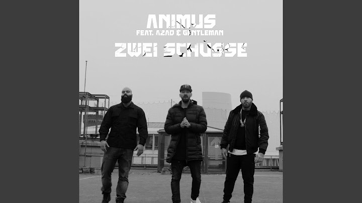 Zwei Schüsse (feat. Gentleman, Azad)