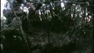 Perdidos en Codeseda