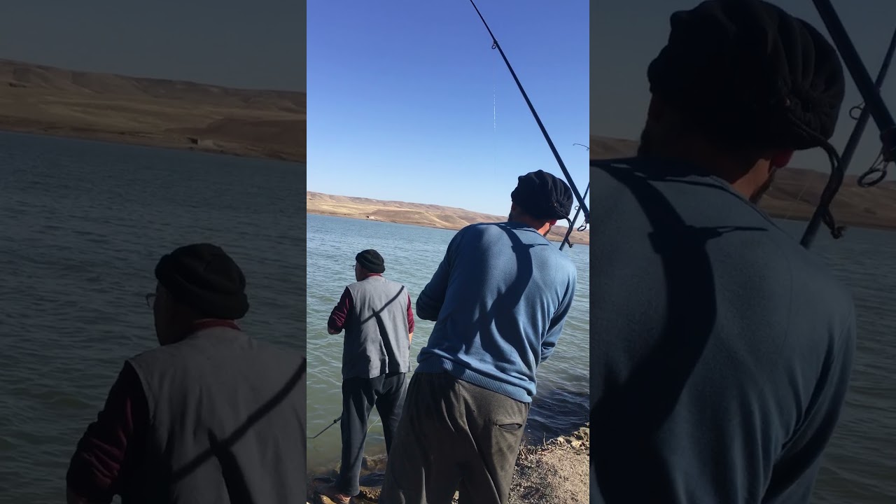 Çorum Alaca Sazan Avı