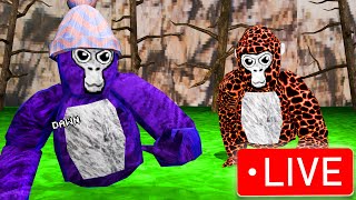 Chill Gtag Stream