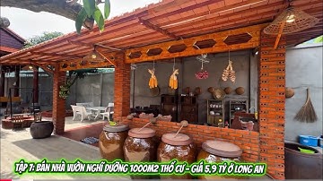 Tập 7 Bán Nhà vườn nghĩ dưỡng đẹp giá 5.9 tỷ ở gần TP Tân An Long an 
