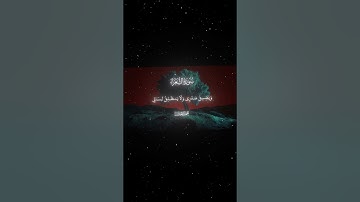 سورة الشعراء|10-15|القارئ:#محمد_اللحيدان #قران #quran #راحة_نفسية #قران_كريم#تلاوة_هادئة#تلاوة_خاشعة