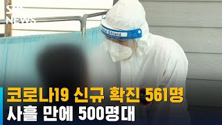 코로나19 신규 확진 561명…사흘 만에 500명대 / SBS