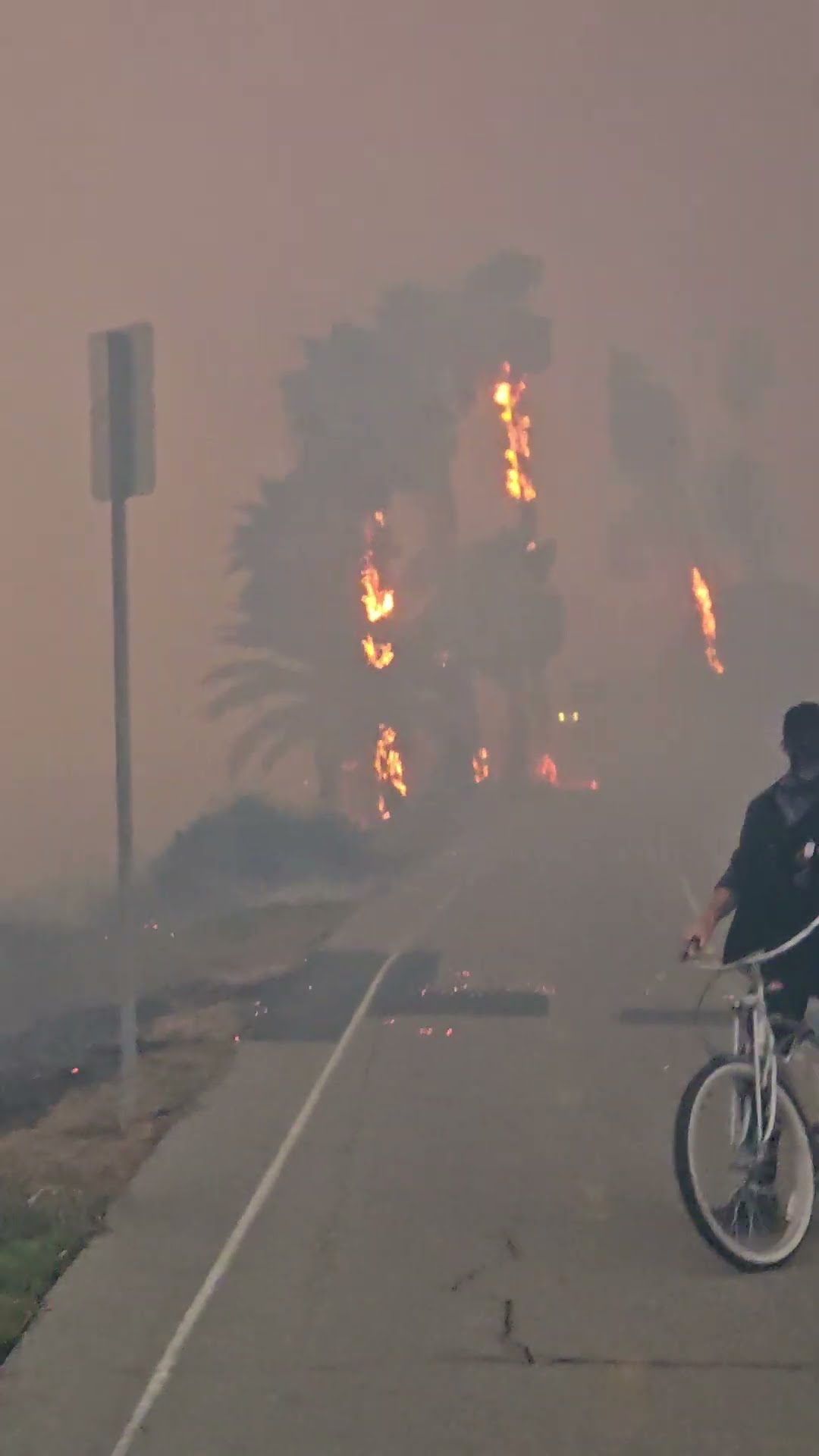 Palisades Fire Up Close At Will Rogers Beach || ViralHog