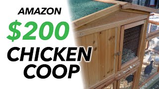 We Purchased Amazon Chicken Coop. Is It Worth It?