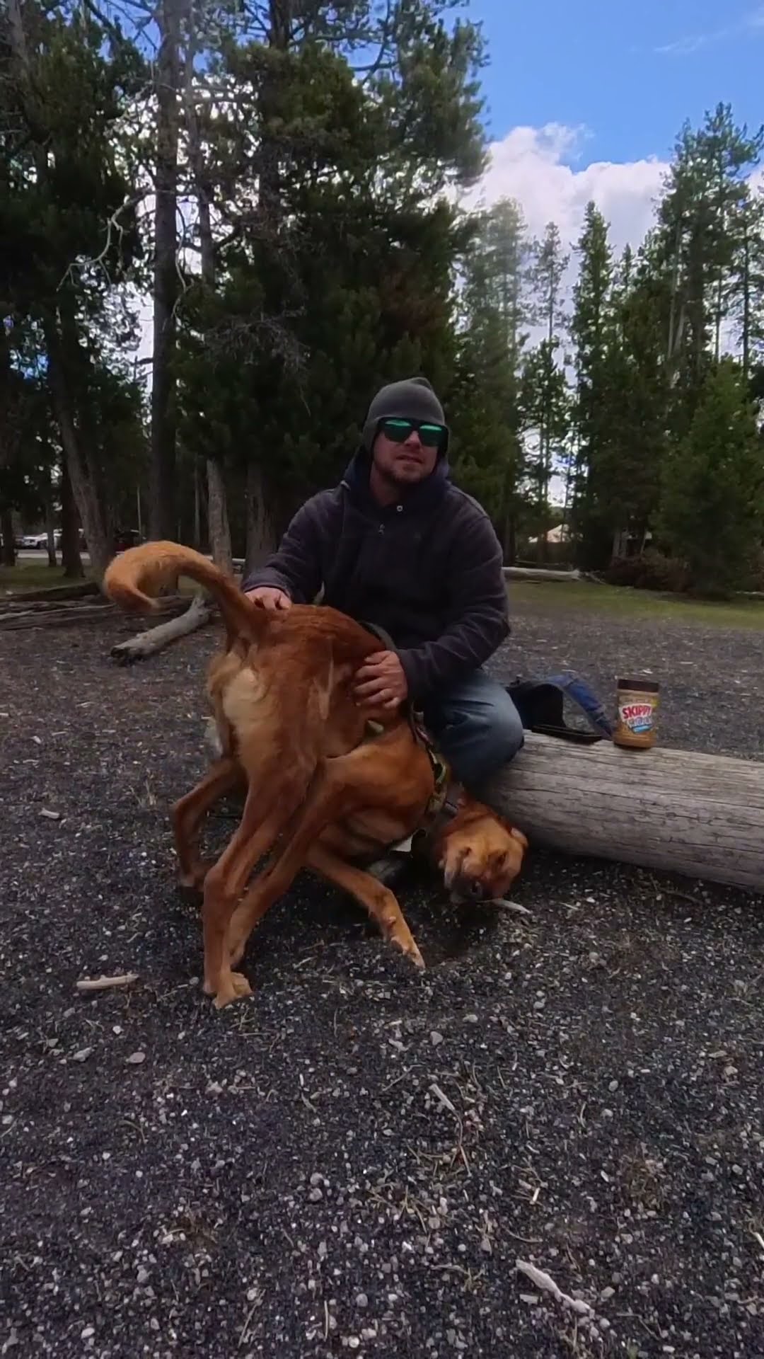 Dog Demands Upside Down Butt Scratches || ViralHog