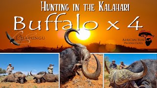 Buffalo Hunting, FOUR more bulls in one video. #hunting