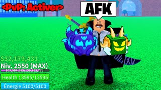 Je Pretend Être Afk Avec Un Fruit Mythique Blox Fruits