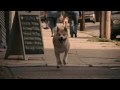 Hachiko: A Dog's Story Trailer (Japanese version) Hachiko: A Dog's Story Trailer (Japanese version)