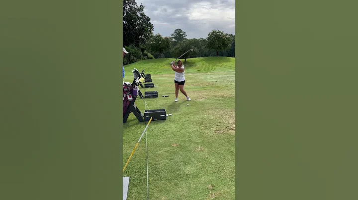 Second face on video Nancy Herbst