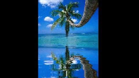 الشيخ ماهر المعقلي يتلو ما تيسر من سورة يس