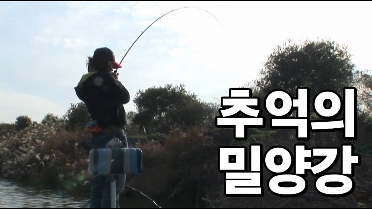 가을 배스 그리고 밀양강