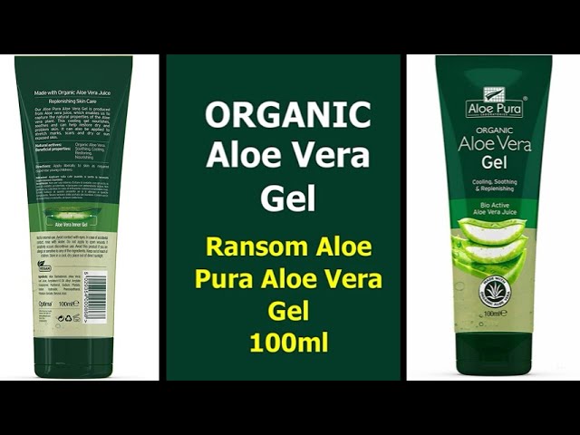 trauermcken aloe vera Aloe vera | Sukkulente