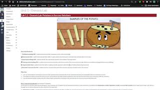 Honors Biology _ Data Analysis for Osmosis Lab