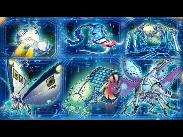 dark world yugioh deck Amazon.com: Yu-Gi-Oh! TCG: Dark World Structure Deck : Toys & Games