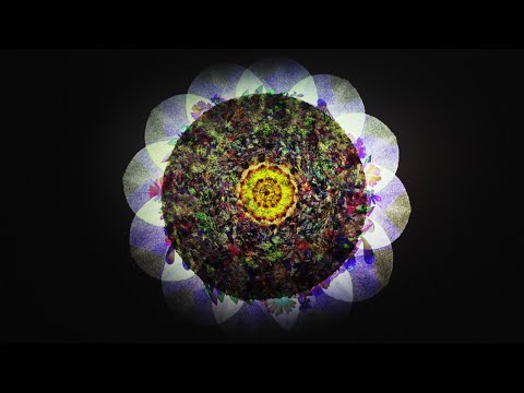 허이나 [우주바다], [우주정원] / 청주시립미술관 오창전시관 환경미디어 기획전시 [ARTIFICIAL NATURE] 아티피셜 네이처