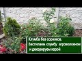 Как застелить клумбу агроволокном и засыпать декоративной корой