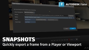 Snapshots exporteren - Flame 2026.1