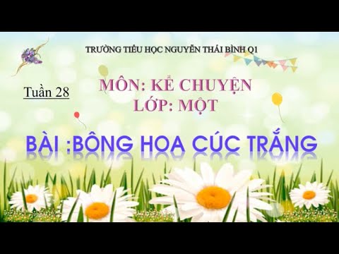 Lớp 1 - Kể chuyện Bài: Bông hoa cúc trắng